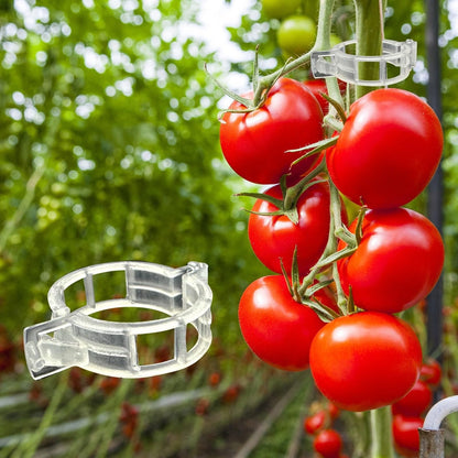 🥦🌽Secured Plastic Plant Clips🥕| Reusable Vine & Stem Support, Weatherproof Garden Clips for Tomato, Cucumber & Climbing Plants🥒🍅