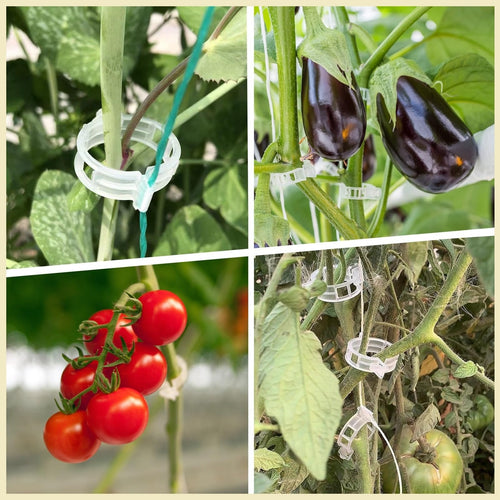 🥦🌽Secured Plastic Plant Clips🥕| Reusable Vine & Stem Support, Weatherproof Garden Clips for Tomato, Cucumber & Climbing Plants🥒🍅