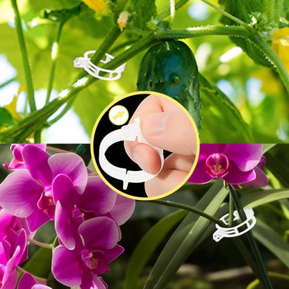 🥦🌽Secured Plastic Plant Clips🥕| Reusable Vine & Stem Support, Weatherproof Garden Clips for Tomato, Cucumber & Climbing Plants🥒🍅