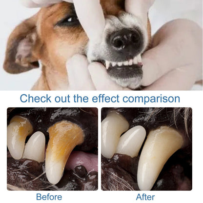 🔥Pet Tartar Remover Foam – Fresh Breath & Healthy Teeth, No Brushing Needed