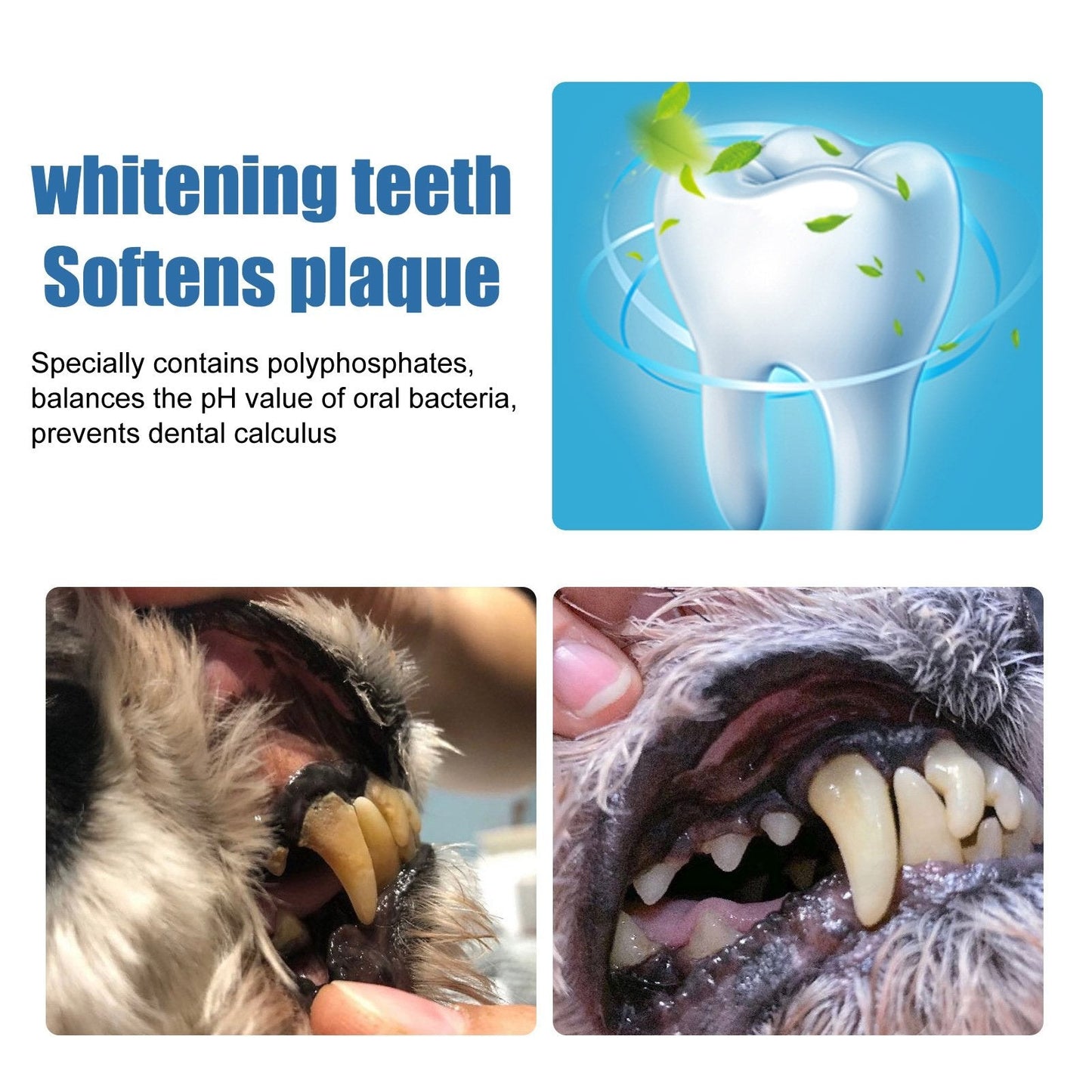 🔥Pet Tartar Remover Foam – Fresh Breath & Healthy Teeth, No Brushing Needed