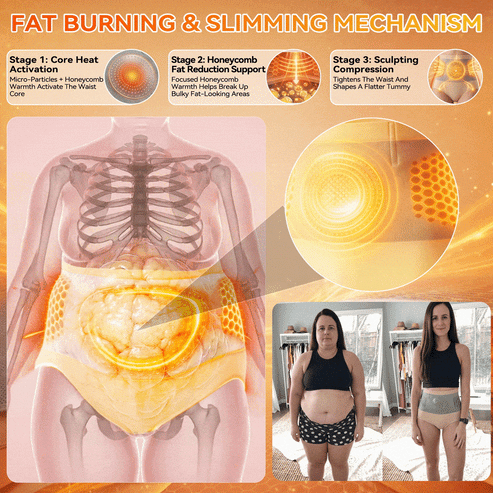 Alcuras® 2026 Moringa & Berberine 4-in-1 Micro-Particle Shaping & Fat Burning Shorts