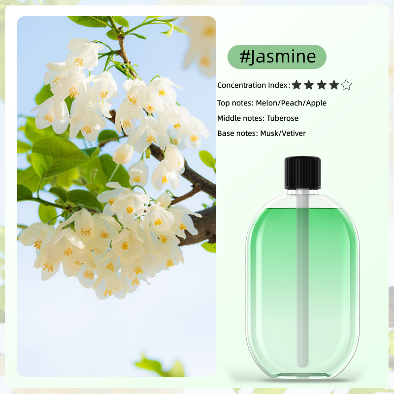 🌸 Essential Oil Diffuser USB Powered with Light ✨