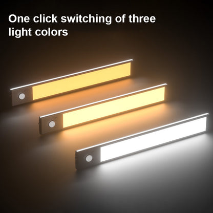🔥LAST DAY SALE 49% OFF💡Intelligent Light PRO