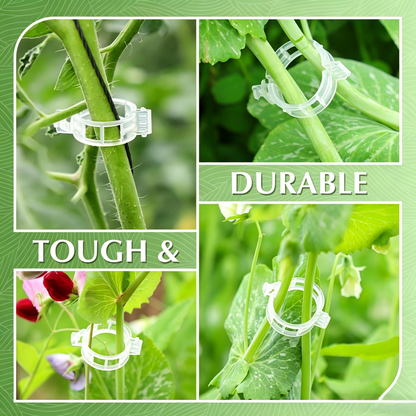 🥦🌽Secured Plastic Plant Clips🥕| Reusable Vine & Stem Support, Weatherproof Garden Clips for Tomato, Cucumber & Climbing Plants🥒🍅