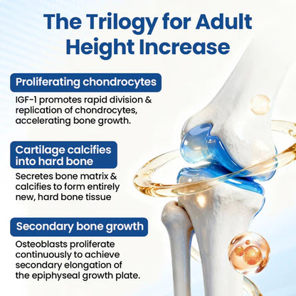 Alcuras® GH-Support Height Spray