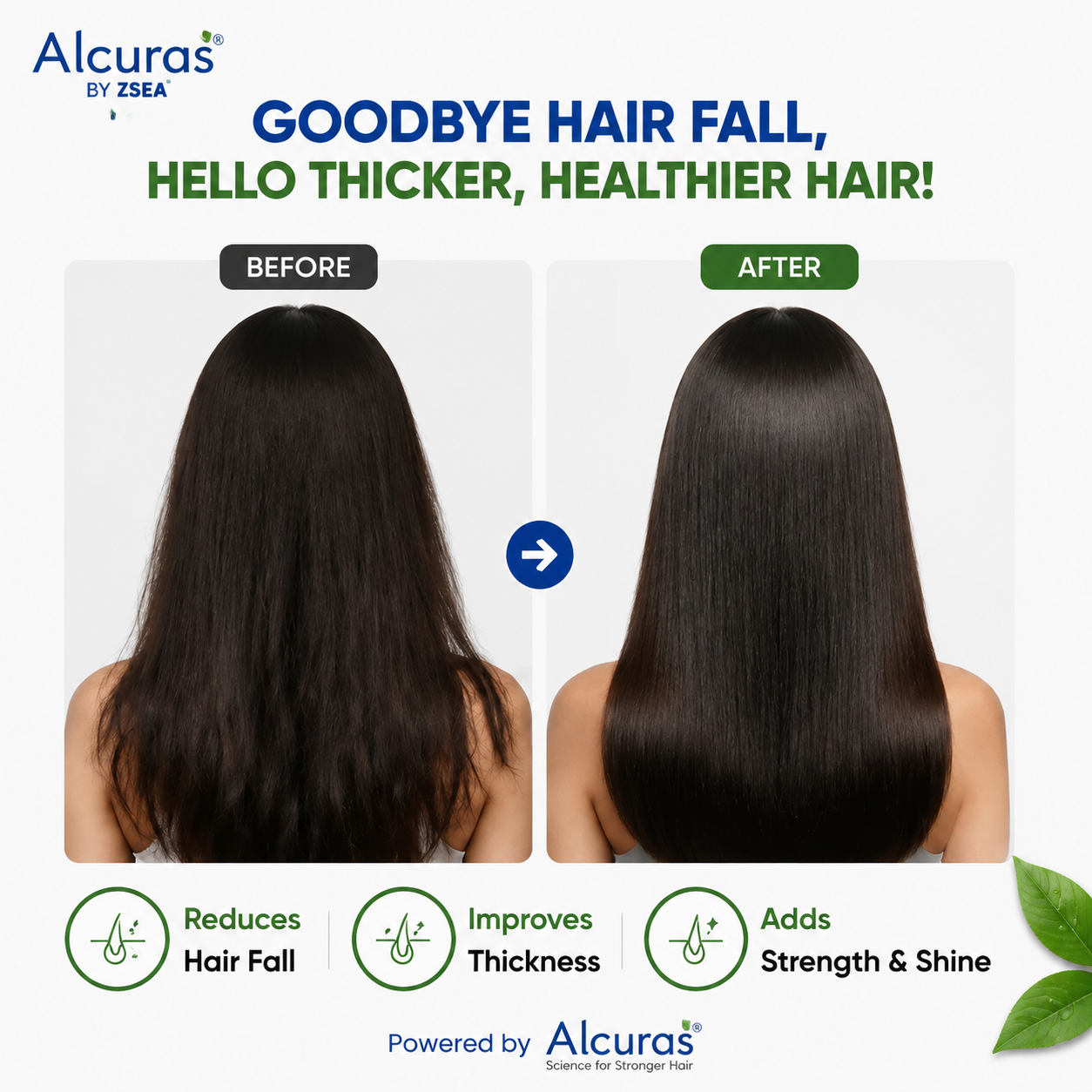Alcuras® Herbal Shampoo – Anti-Hair Thinning