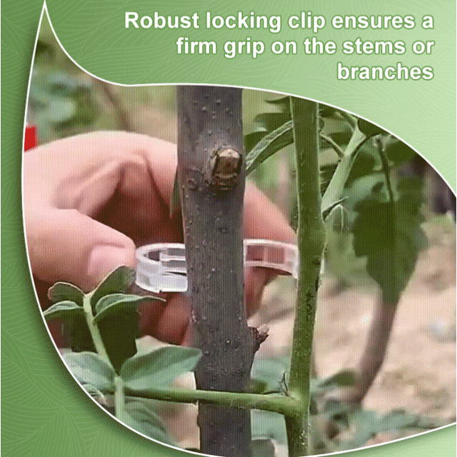 🥦🌽Secured Plastic Plant Clips🥕| Reusable Vine & Stem Support, Weatherproof Garden Clips for Tomato, Cucumber & Climbing Plants🥒🍅