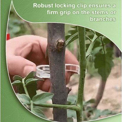🥦🌽Secured Plastic Plant Clips🥕| Reusable Vine & Stem Support, Weatherproof Garden Clips for Tomato, Cucumber & Climbing Plants🥒🍅
