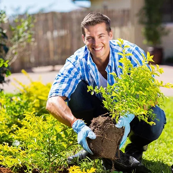 🏆75K+ SOLD! 🌳Alcuras® Soil Pro Activator