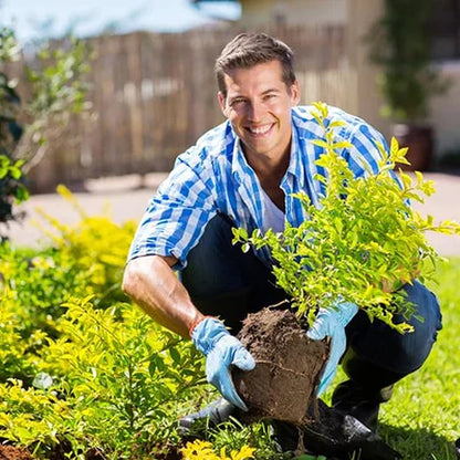 🏆75K+ SOLD! 🌳Alcuras® Soil Pro Activator
