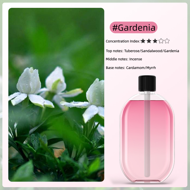 🌸 Essential Oil Diffuser USB Powered with Light ✨