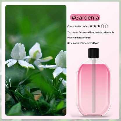 🌸 Essential Oil Diffuser USB Powered with Light ✨