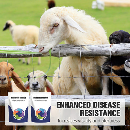 Probiotic & Enzyme Feed Additive