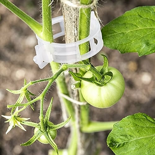 🥦🌽Secured Plastic Plant Clips🥕| Reusable Vine & Stem Support, Weatherproof Garden Clips for Tomato, Cucumber & Climbing Plants🥒🍅