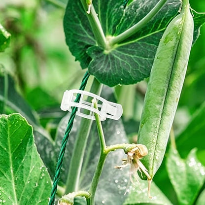 🥦🌽Secured Plastic Plant Clips🥕| Reusable Vine & Stem Support, Weatherproof Garden Clips for Tomato, Cucumber & Climbing Plants🥒🍅