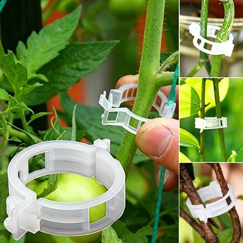 🥦🌽Secured Plastic Plant Clips🥕| Reusable Vine & Stem Support, Weatherproof Garden Clips for Tomato, Cucumber & Climbing Plants🥒🍅